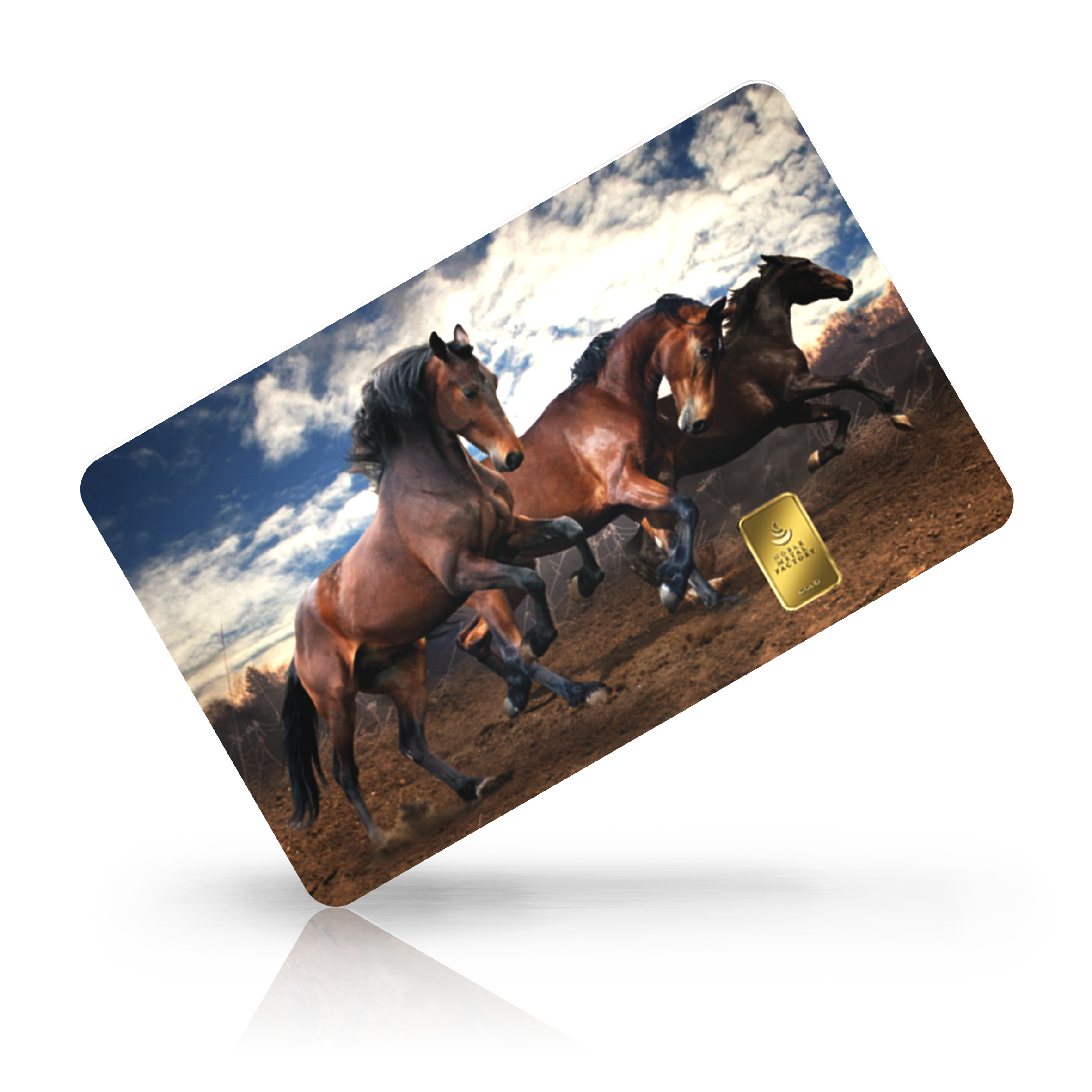 Pferde bei Goldreserven kaufen