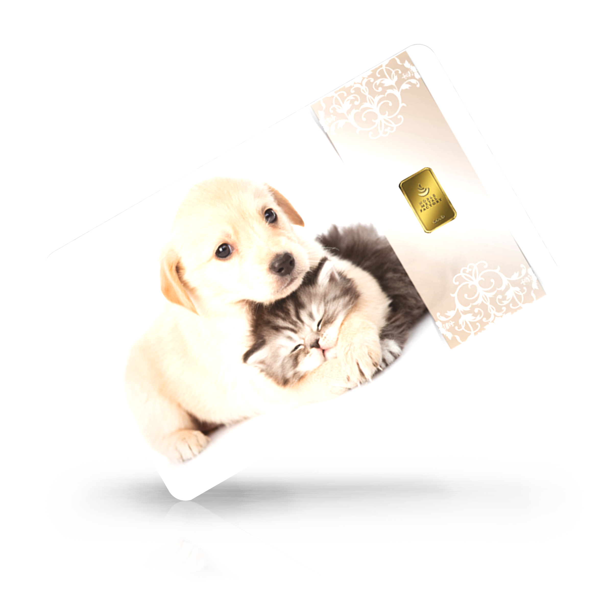 Tiere - Hund & Katze bei Goldreserven kaufen