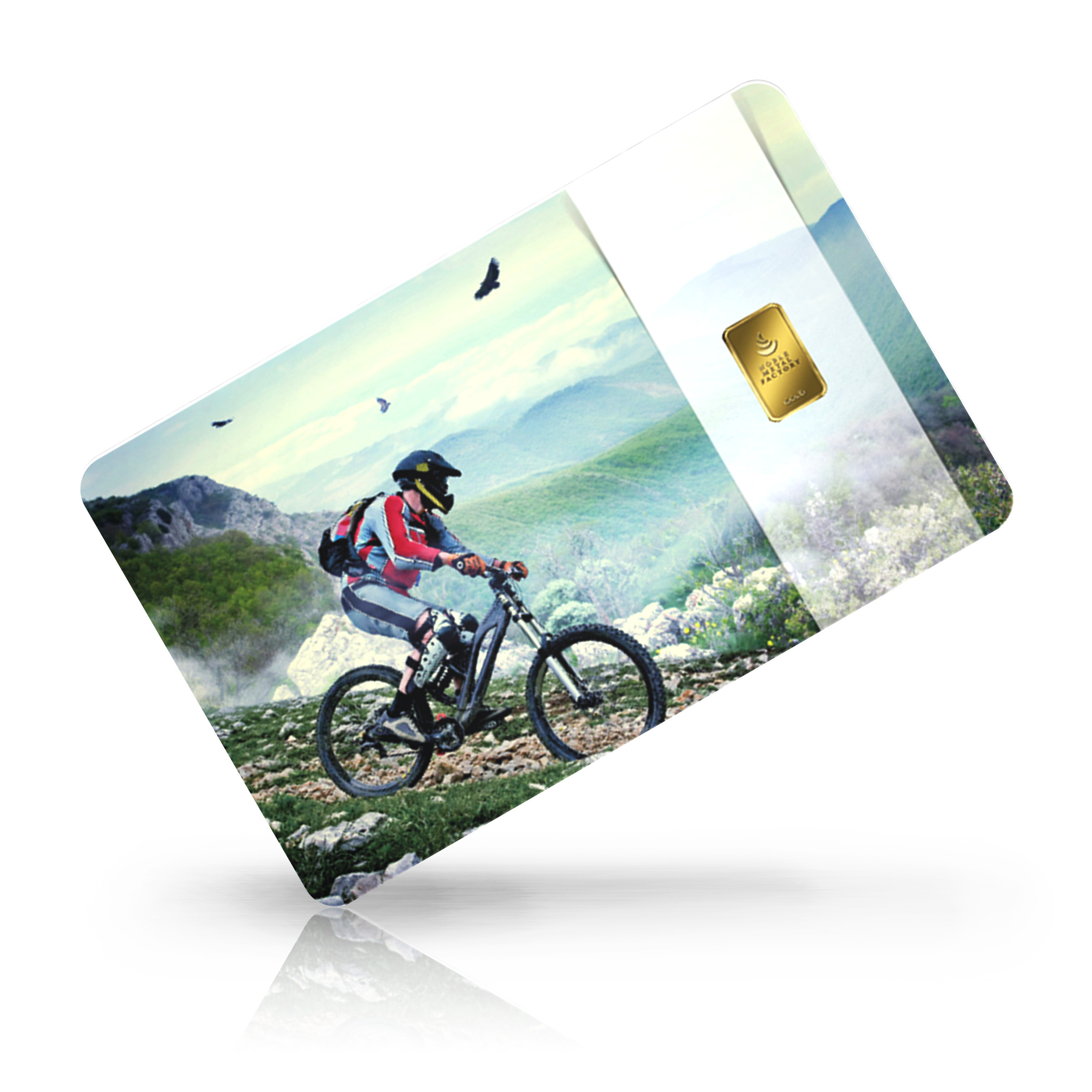 Mountain Bike bei Goldreserven kaufen