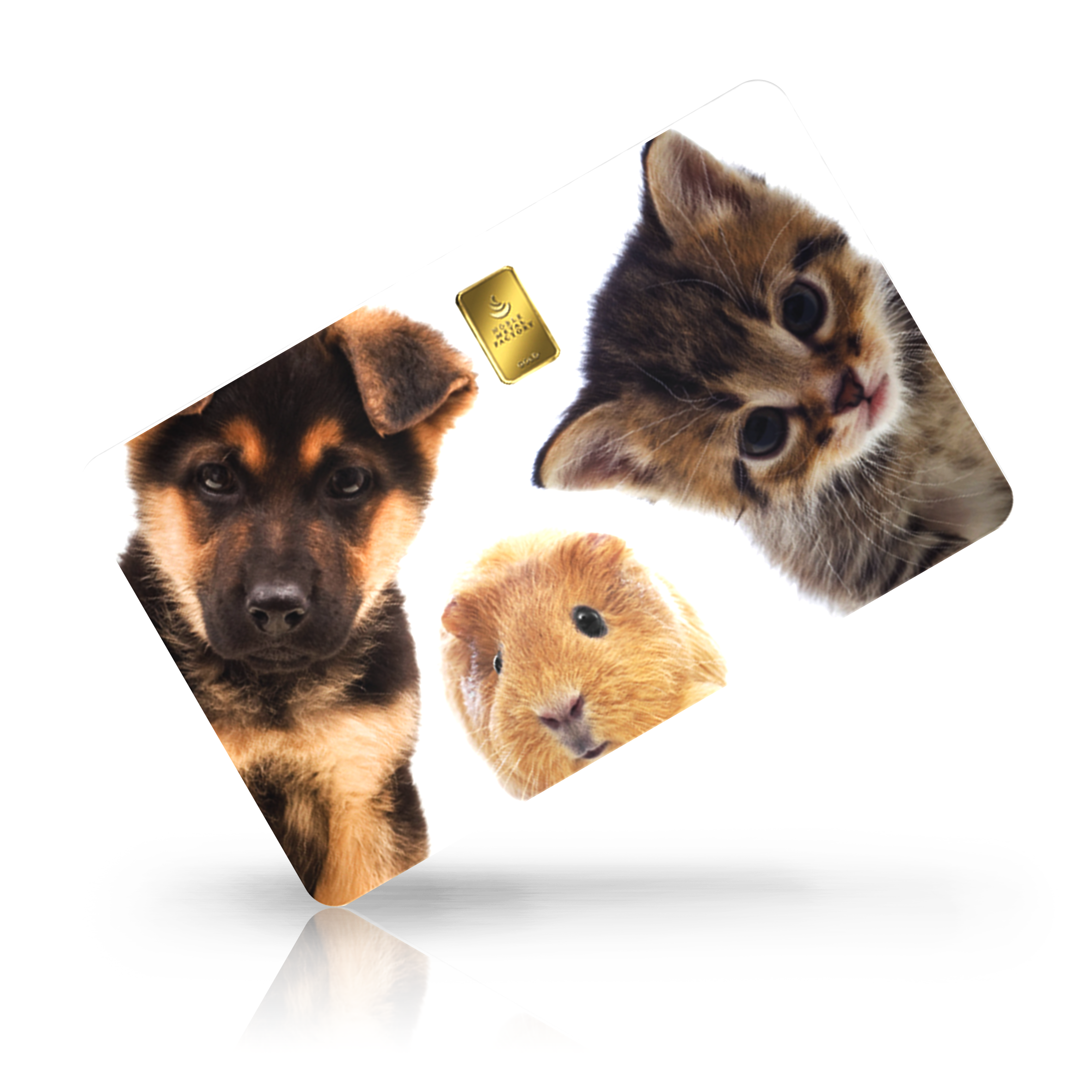 Tiere - Haustier Trio bei Goldreserven kaufen