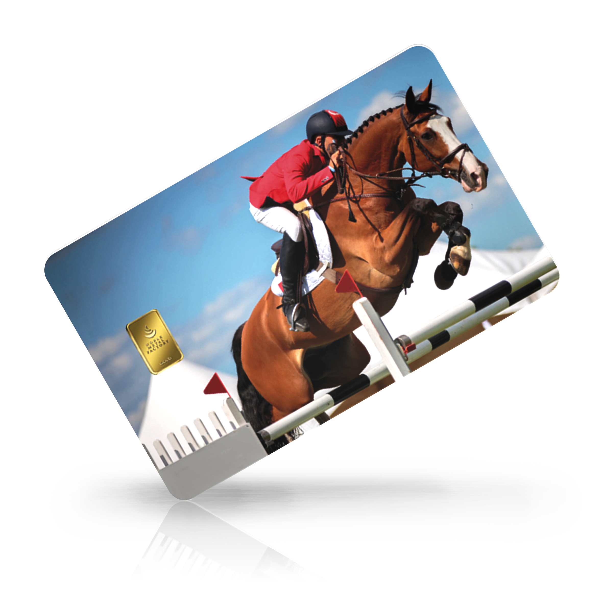 Tiere - Springreiten bei Goldreserven kaufen